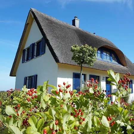 Reethaus &quotlachmoewe&quot
