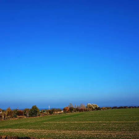 Reethaus &quotlachmoewe&quot * צירוב